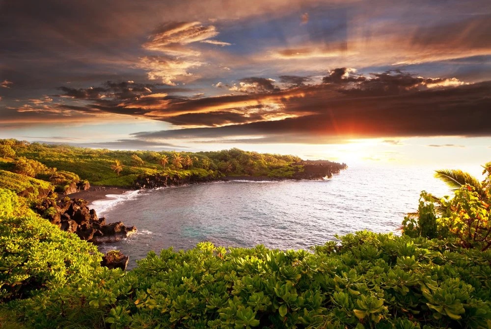 Tropical Maui coastline